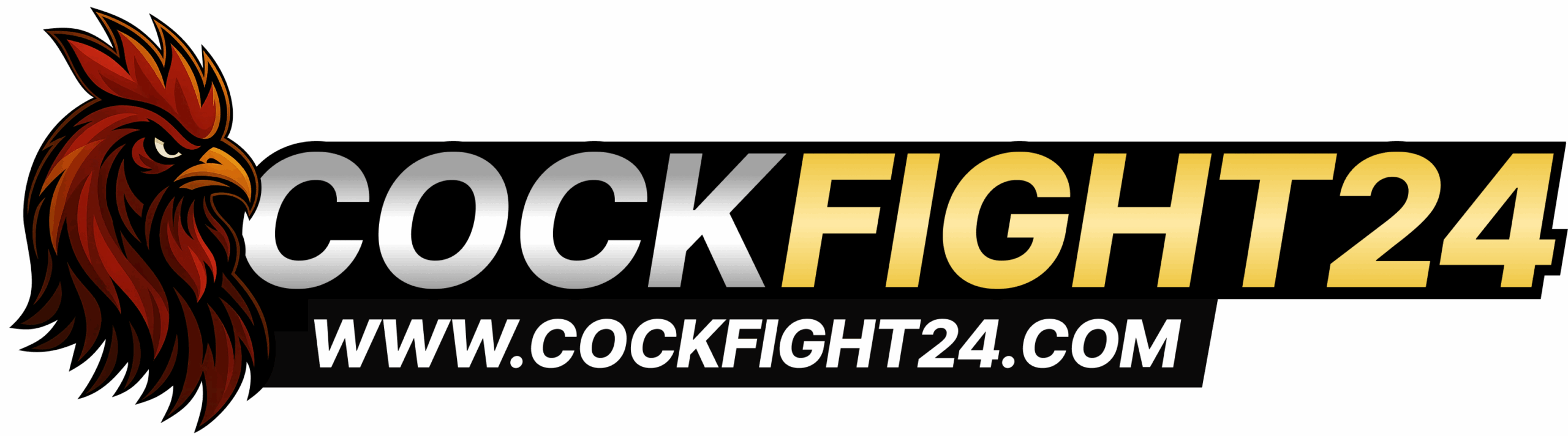 cockfight24