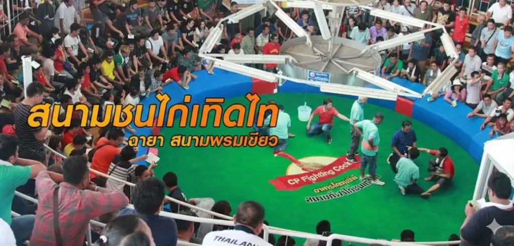 สนามไก่ชน