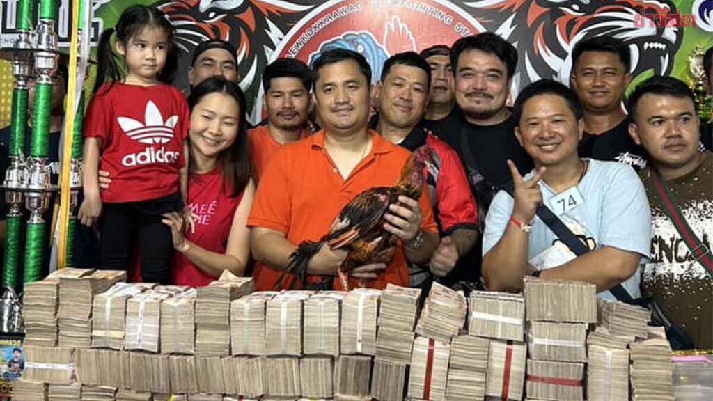 ข่าวไก่ชน