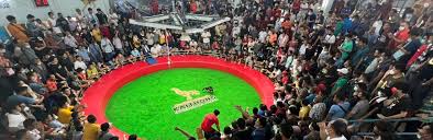 ข่าวไก่ชน