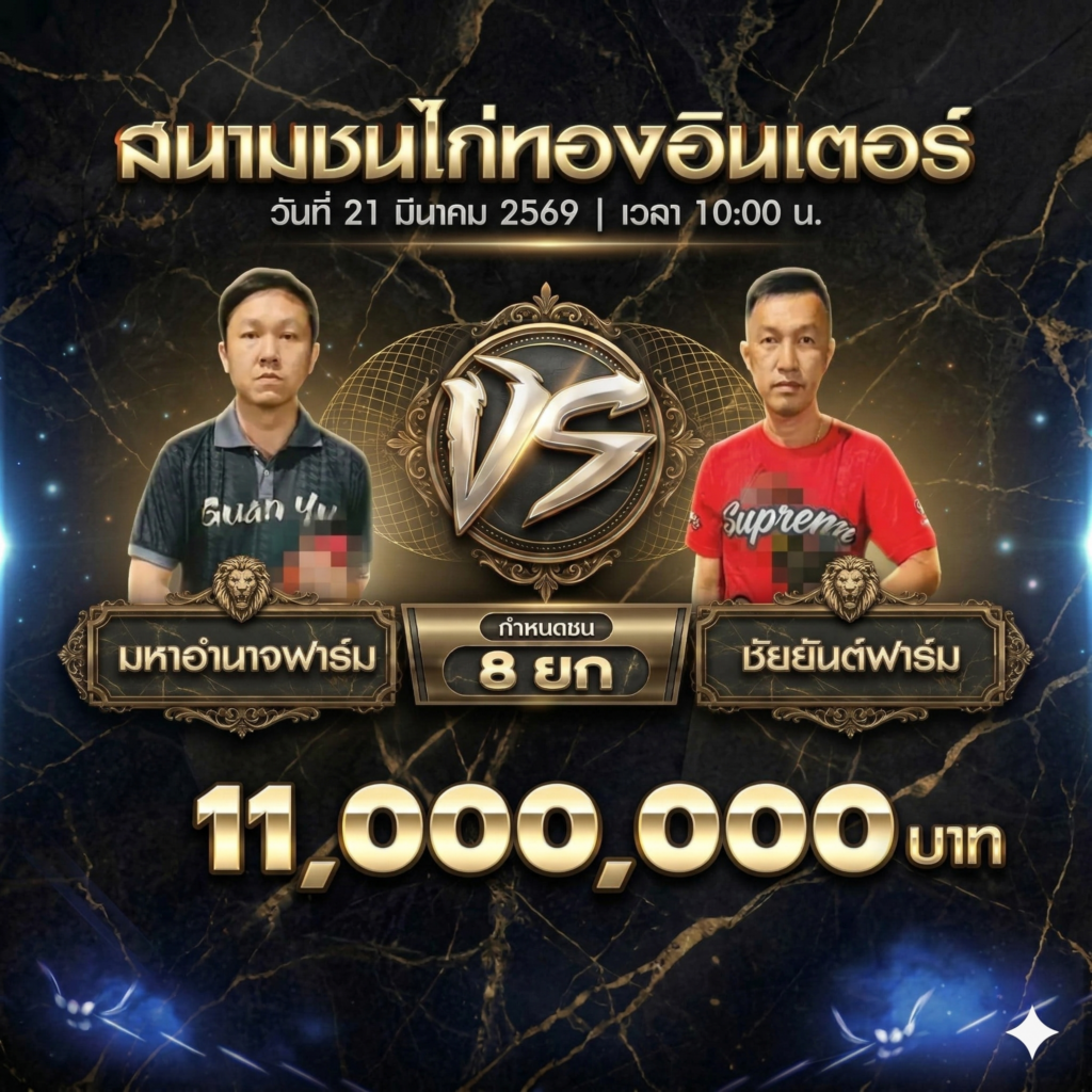 ข่าวไก่ชน