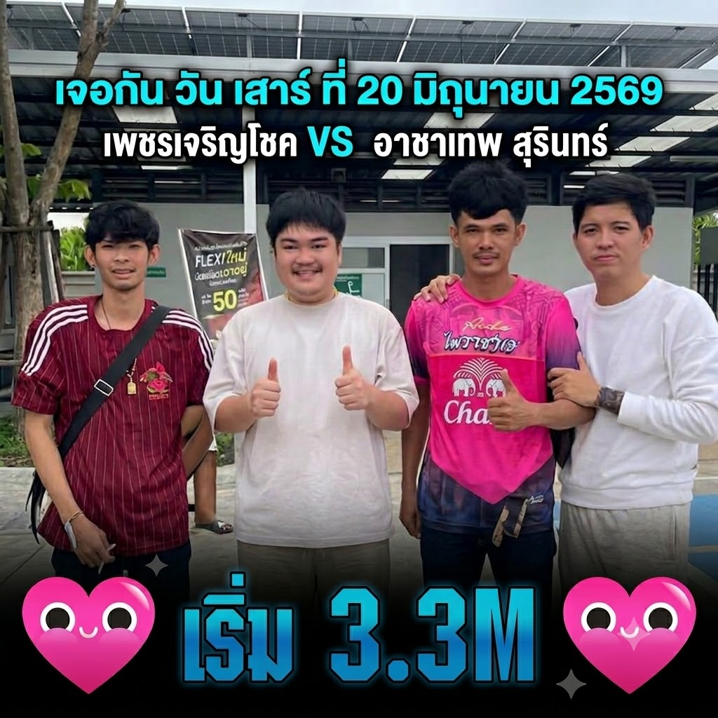 ข่าวไก่ชน