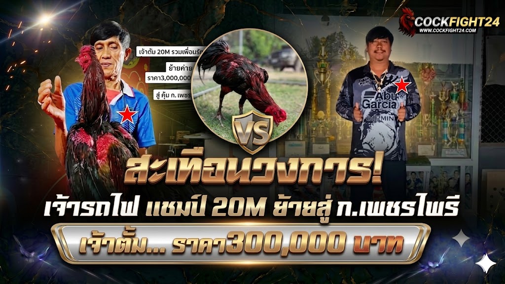 ข่าวไก่ชน