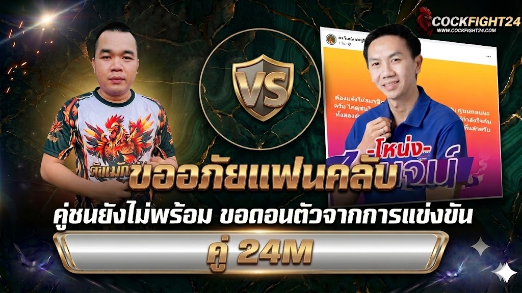 ข่าวไก่ชน