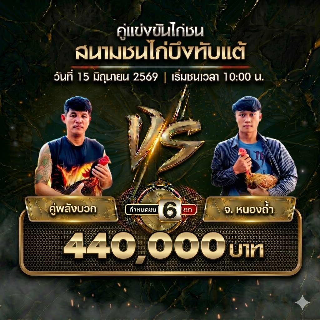 ข่าวไก่ชน