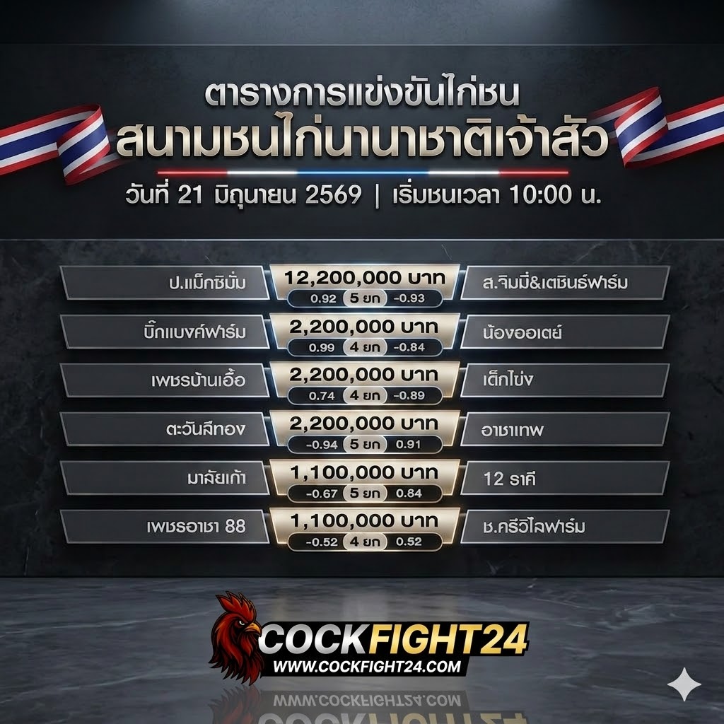 ข่าวไก่ชน