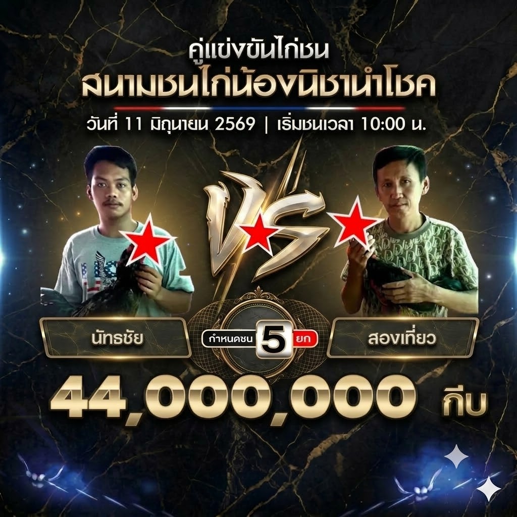 ข่าวไก่ชน