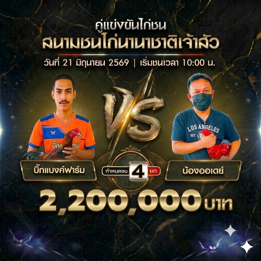 ข่าวไก่ชน