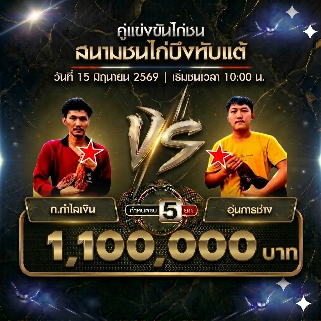 ข่าวไก่ชน