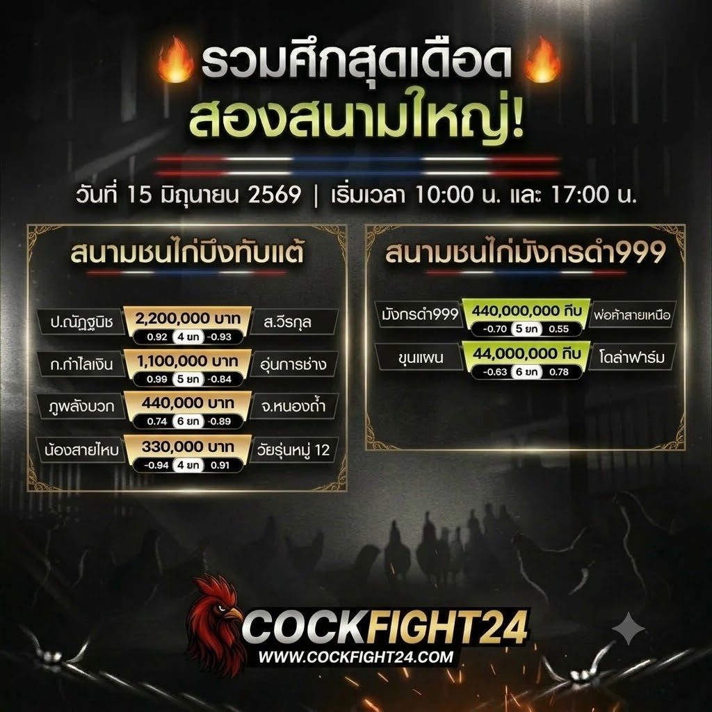โปรแกรมไก่ชน