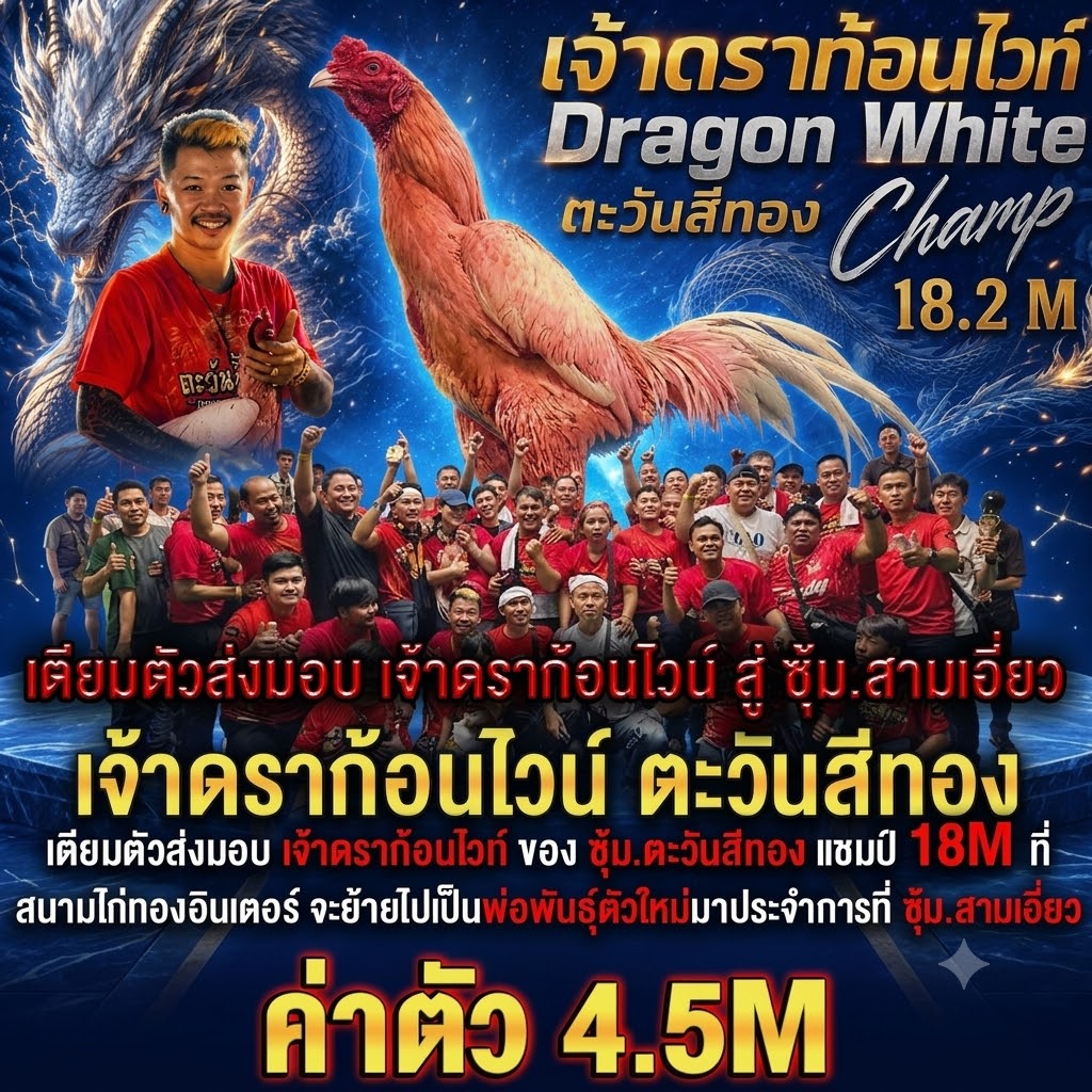 ข่าวไก่ชน
