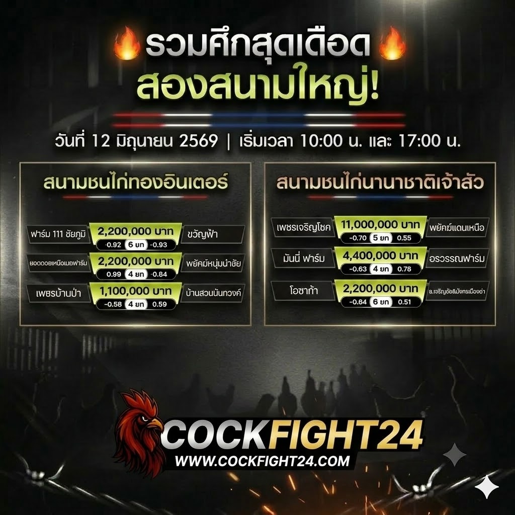 โปรแกรมไก่ชน