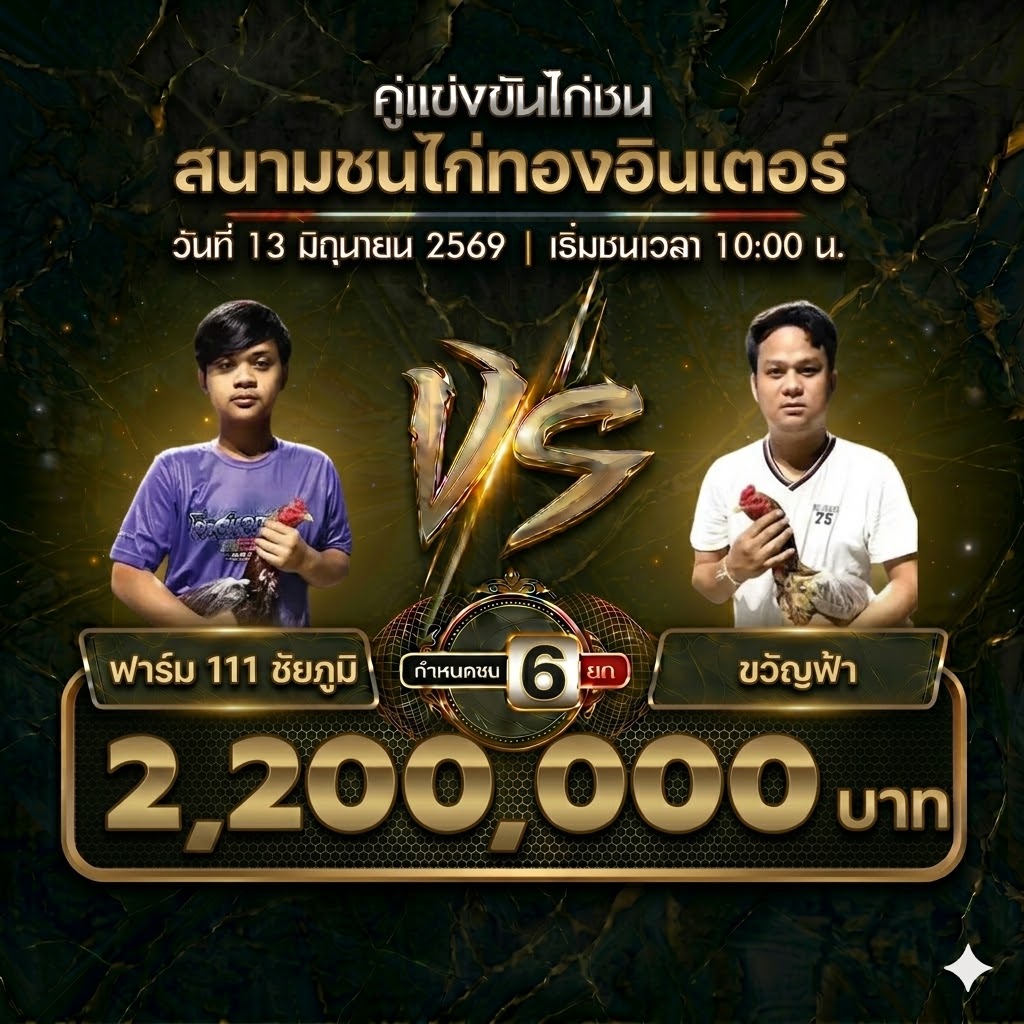ข่าวไก่ชน